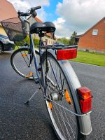 Damenfahrrad Mecklenburg-Vorpommern - Dersekow Vorschau