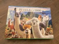 Puzzle 1000 teile Köln - Nippes Vorschau