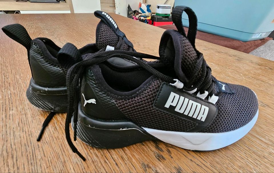 Schuhe / Sneakers / Turnschuhe von Puma in Größe 35,5 in Hagen