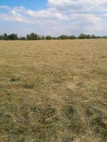 Heu in HD Ballen Pferde Kaninchen Hasen Meerschweinchen Ziege Niedersachsen - Oldenburg Vorschau