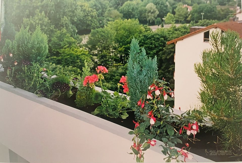 Schöne helle 3-Zi-Dachgeschosswohnung mit Panorama Alpenblick, Balkon & viel Gestaltungspotenzial in München