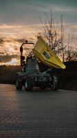 Raddumper 3t Nutzlast, Dumper, Wacker Neuson DW 30 zu vermieten Hessen - Merenberg Vorschau