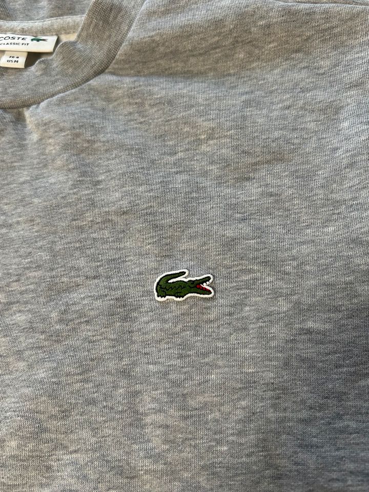 Lacoste Pulli in Bünde