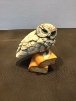 Capodimonte Eule Hedwig mit Büchern  Dekofigur Harry Potter Nordrhein-Westfalen - Gladbeck Vorschau