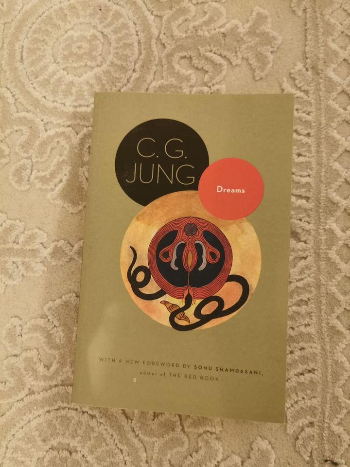 Carl Jung Dreams Psychology Book in Berlin