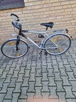 La Strada Herrenfahrrad 28'' 28" Zoll 21-Gang Neuwertig LaStrada Niedersachsen - Jembke Vorschau