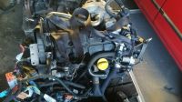 Motor Renault Trafic Laguna Kangoo Megane 1,9 DCI F9Q1758 Niedersachsen - Belm Vorschau