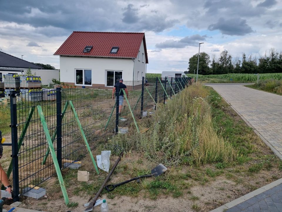 Doppelstabmattenzaun, Stahlzaun, Schmiedezäune, Modernezaun in Schwerin