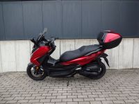 Honda Forza 125 *sofort verfügbar* Baden-Württemberg - Buchen (Odenwald) Vorschau