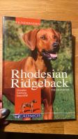 Rhodesian Ridgeback Hunderassen Bochum - Bochum-Nord Vorschau