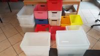 Verkaufe Kunstoff Kisten verschiedene Größen Stück NUR 1€ Niedersachsen - Auetal Vorschau
