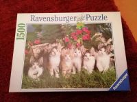 Puzzle / Katzen - 1500 Teile Niedersachsen - Osnabrück Vorschau