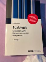 Soziologie Buch BELTZ Verlag, Ludger Pries Wandsbek - Hamburg Tonndorf Vorschau