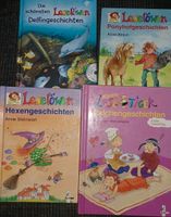 Leselöwen, Lesetiger Bücher, Delphingeschichten mit Hörspiel-CD Schleswig-Holstein - Süderbrarup Vorschau