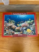 Castorland Puzzle Fische 1000 Teile Hessen - Fuldatal Vorschau