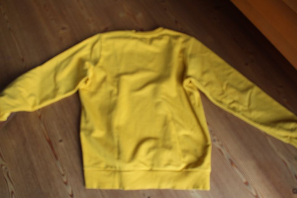 Diesel Sweater Gr s gelb in Köln