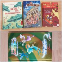 Gebundene Bücher, Paket oder einzeln, je €4, NEU (Alter 7+) Rheinland-Pfalz - Montabaur Vorschau
