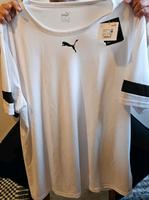 Puma T-Shirt Herren Berlin - Reinickendorf Vorschau