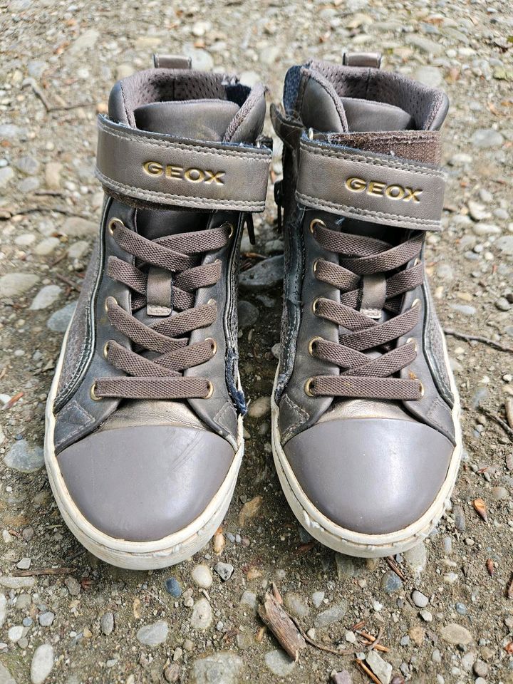 Geox Sneaker Gr. 33 in München