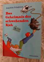 Buch : Das Geheimnis der schwebenden Kuh Hessen - Dillenburg Vorschau