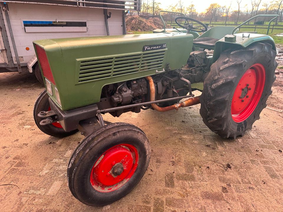 Fendt 1E Traktor in Leer (Ostfriesland)