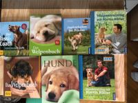 Bücher Hunde, M. Rütter, GU, Welpen, Jagd, Training, Gassi-Coach Aubing-Lochhausen-Langwied - Aubing Vorschau