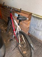 Fahrrad für Erwachsene Berlin - Charlottenburg Vorschau