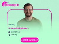 IT-Security Engineer (m/w/d) Brandenburg - Schönewalde bei Herzberg, Elster Vorschau