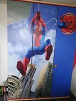 Spiderman Zimmer Kinderzimmer Nordrhein-Westfalen - Dörentrup Vorschau