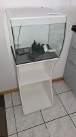 Fluval Flex 57l Aquarium Hessen - Seeheim-Jugenheim Vorschau