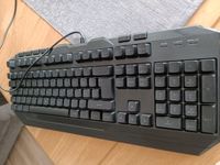 Biete eine Tastatur an Bayern - Osterhofen Vorschau