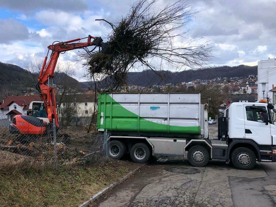 Bagger- und Erdarbeiten, Erdtransport in Geislingen an der Steige