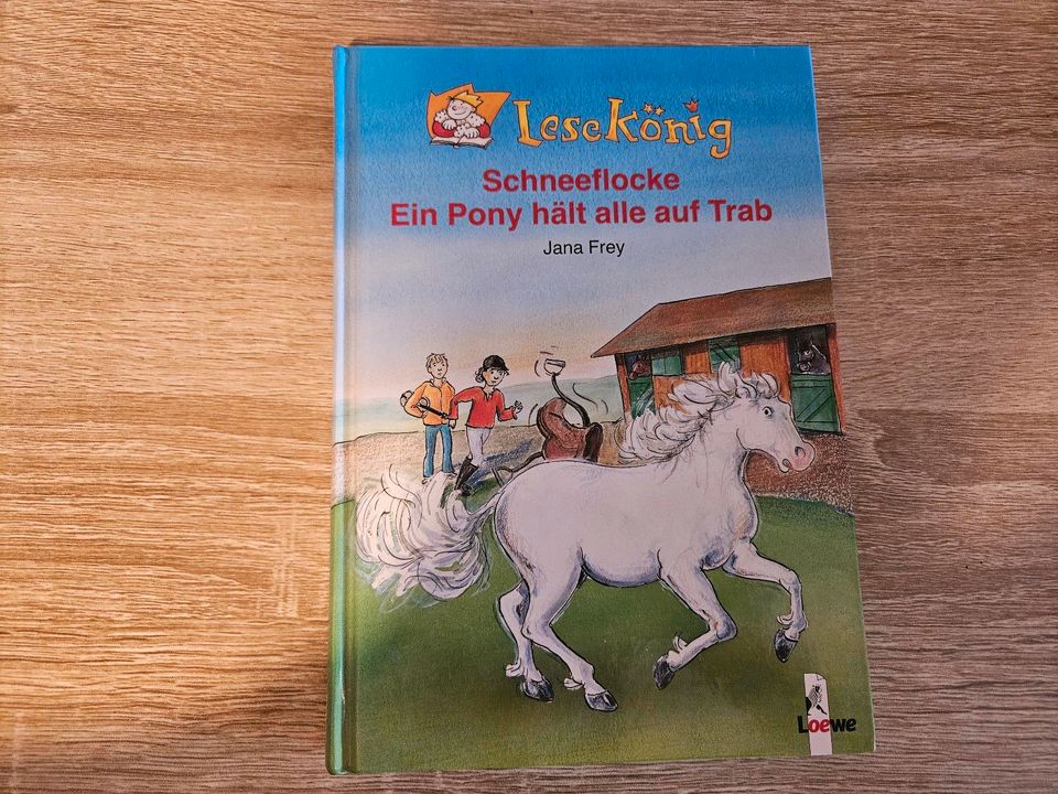 Schneeflocke - Ein Pony hält alle auf Trab von Jana Frey in Warstein