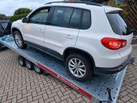 Autotransporter PKW Anhänger zu vermieten Niedersachsen - Hagen am Teutoburger Wald Vorschau