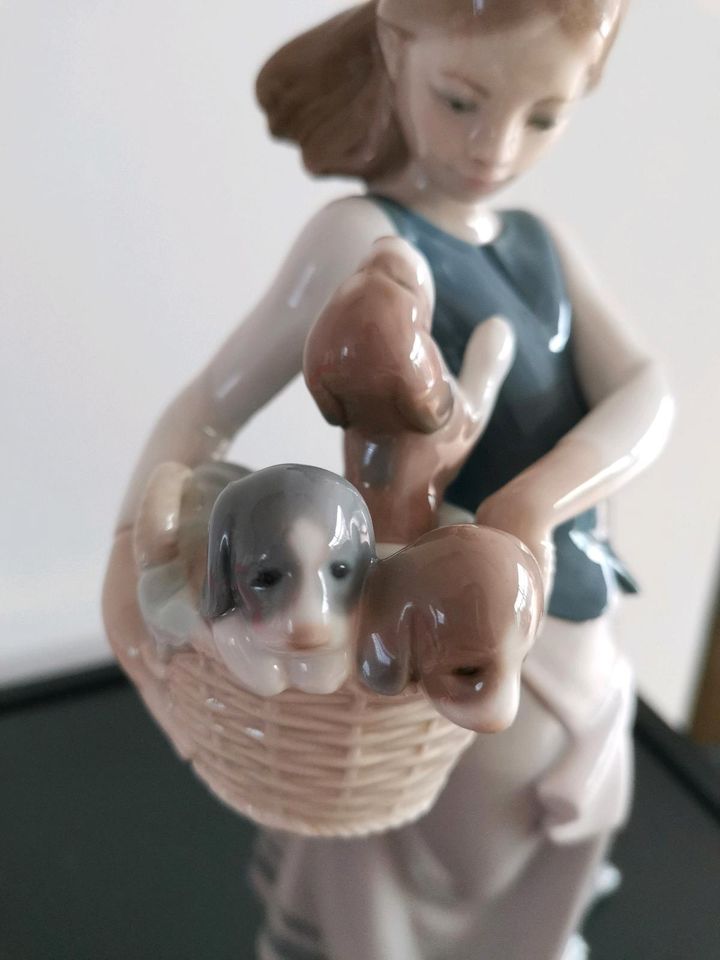 Lladro Porzellan Figur Mädchen mit Welpen, Hunde in Bergisch Gladbach