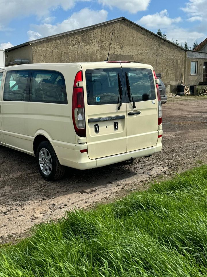 Mercedes Benz Vito 115 CDI 9 Sitzer in Hüllhorst