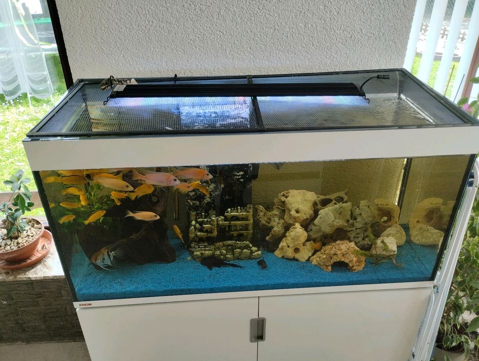 Aquarium 450 Eheim in Bad Sobernheim