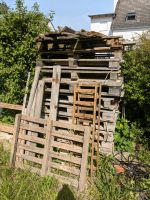 Holz Paletten Einweg Euro Brennholz Feuerschale Kamin KOMPLETT Sachsen-Anhalt - Flechtingen Vorschau