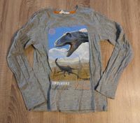 Jungen LA-Shirt H&M Gr. 134 140 DINOS Langarm-Shirt Pulli Saarland - Bous Vorschau