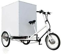 Lastenrad Elektro Dreirad Box Lastenfahrrad Cargo Bike E-Bike Nordrhein-Westfalen - Emmerich am Rhein Vorschau