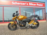 Honda CB600FA Hornet ABS Thüringen - Nordhausen Vorschau