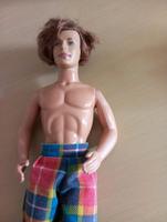 Barbie Ken Surfer von 2005 (Mattell) Brandenburg - Rathenow Vorschau
