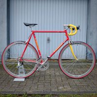 Pinarello Stelvio Vintage Rennrad Campagnolo RH60 Dortmund - Innenstadt-West Vorschau