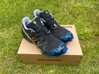 Salomon Speedcross 6 GTX 44 2/3 (fast neu) Sachsen - Glashütte Vorschau