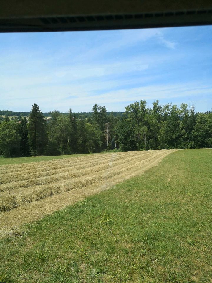 Heu HD Kleinballen in Schömberg b. Württ