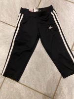 Adidas Sporthose gr. 149 Nordrhein-Westfalen - Brilon Vorschau