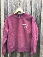 Amisu Pulli Bayern - Altenstadt Vorschau