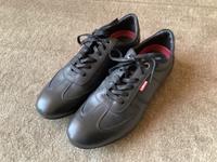 Levi's Sneaker Bayern - Coburg Vorschau