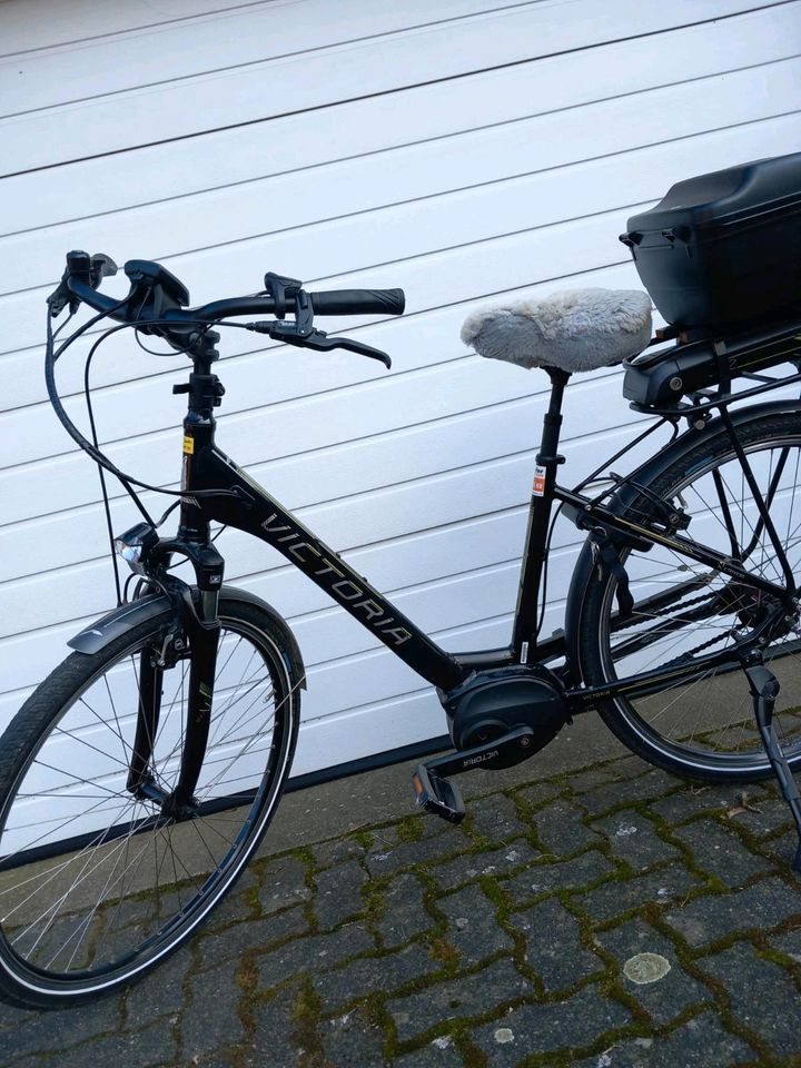 E-Bike von Viktoria 28 Zoll in Raddestorf