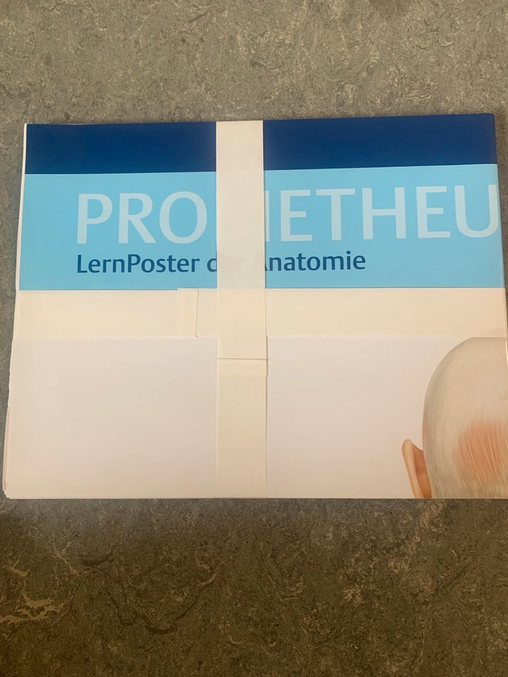 Endspurt Vorklinik + Posters + Histologie Taschenlehrbuch in Kiel